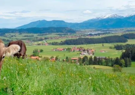 Bergblick Hopferau