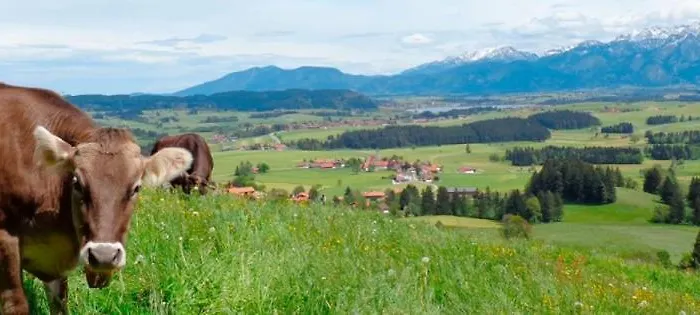Bergblick Hopferau